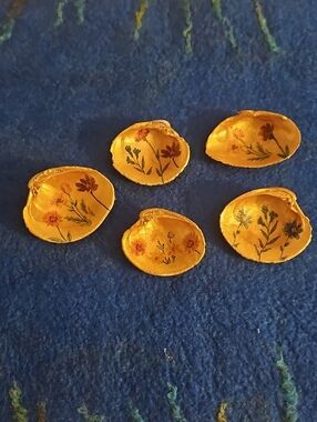 Hand Painted & Decopaged Floral Design Clam Shell Decor Set Of 5.